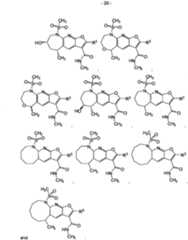 Figure imgf000021_0001