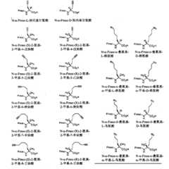 Figure BPA00001373600300541