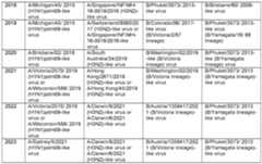 Figure imgf000024_0001