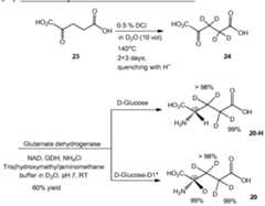 Figure imgf000031_0001