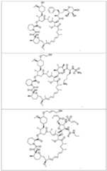 Figure imgf000040_0001