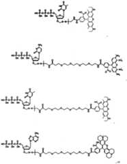 Figure imgf000302_0001