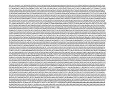 Figure imgf000315_0001