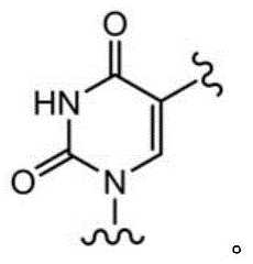 Figure BDA0003670511740000746