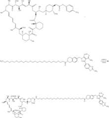 Figure US12048749-20240730-C00879