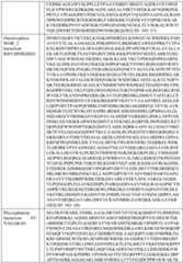 Figure imgf000493_0001