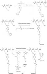 Figure imgf000030_0001