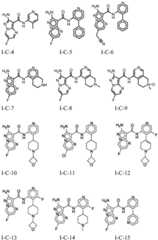 Figure BDA0001412716210004991