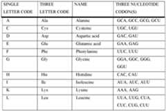Figure imgf000051_0001