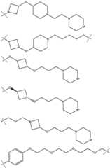 Figure BDA0003027048450001851