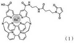 Figure DEST_PATH_IMAGE013