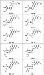 Figure BDA0003795483320000311