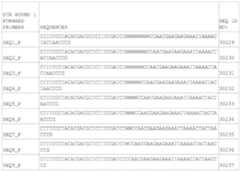 Figure imgf000061_0001