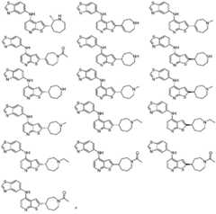 Figure FDA0003344994040000281