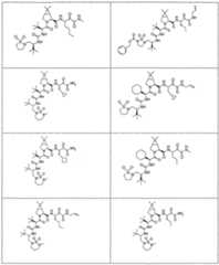 Figure imgf000262_0001