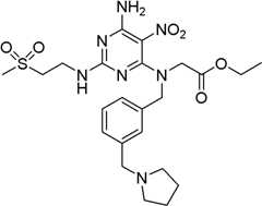 Figure BDA0000075082050001321