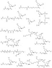 Figure imgf000101_0001