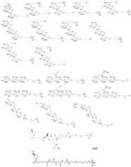 Figure imgf000038_0001