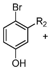 Figure imgf000095_0001
