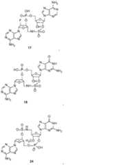 Figure 0007317014000174