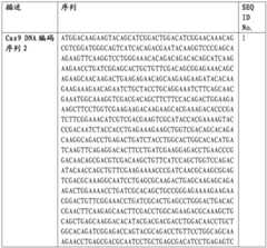 Figure BDA0002508391090000791