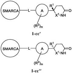 Figure BDA0003783300830000391