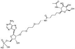 Figure imgf000014_0001