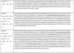 Figure imgf000046_0001