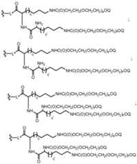 Figure imgf000092_0001