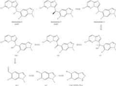 Figure US08389526-20130305-C00032