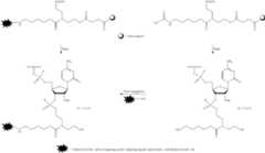 Figure US11596646-20230307-C00289