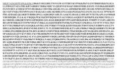 Figure imgf000089_0001