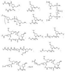 Figure 2023012548000289