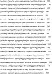 Figure IDA0002935257620000481