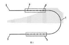 Figure 2022536821000001