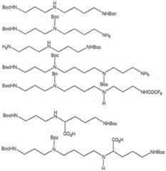 Figure imgf000039_0001