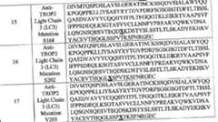 Figure imgf000071_0001