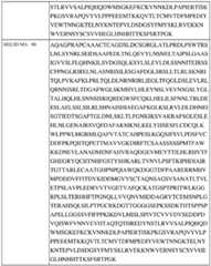 Figure BDA0002742983620000561