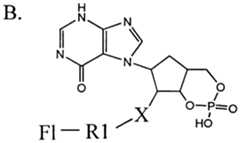Figure imgf000023_0002