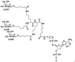 Figure BDA0003357312860001871