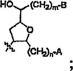 Figure A2006800490480003C1