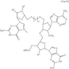 Figure US11737979-20230829-C00030