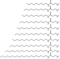 Figure A20068002978801311