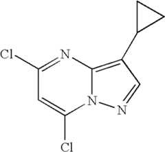 Figure US07119200-20061010-C02166