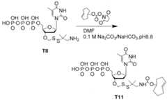 Figure imgf000573_0001