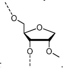 Figure imgf000061_0003