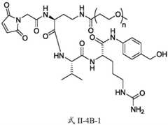 Figure BDA0003674984870000501