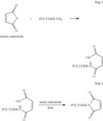 Figure US08895759-20141125-C00001