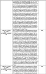 Figure imgf000144_0001