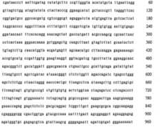 Figure 106137461-A0202-12-0236-71